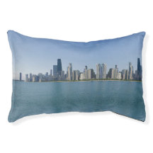 The Chicago Skyline with Mirrored Pattern