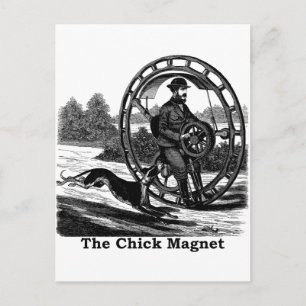 The Chick Magnet Postcard