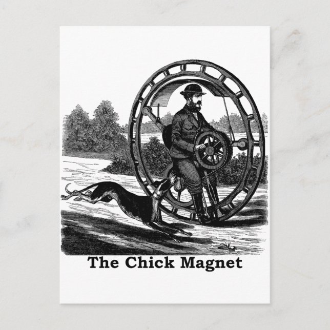 The Chick Magnet Postcard (Front)