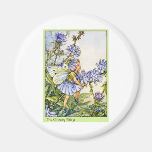 The Chicory Fairy Magnet