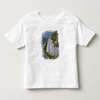 The "Chief" Arial View in Squamish Toddler T-Shirt