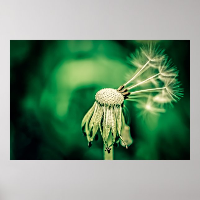 The Chief Poster (Front)