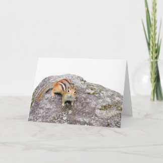 The chipmunk card