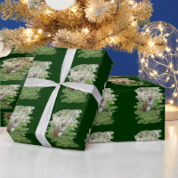 The Chipper Little Chipmunk - Wrapping Paper