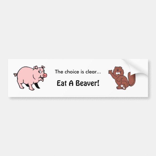 The choice is clear...... bumper sticker (Front)