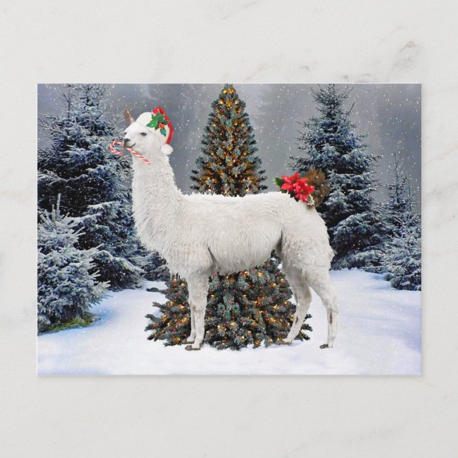 "The Christmas Llama" Postcard (Front)