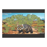 The chunky cuddly Wombat
