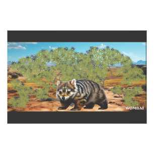 The chunky cuddly Wombat Photo Print