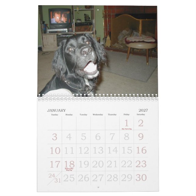 The Cicoletti Family Calendar (Jan 2027)
