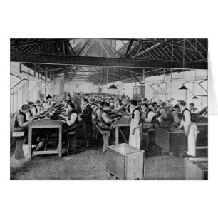 The cigar manufacturing departments