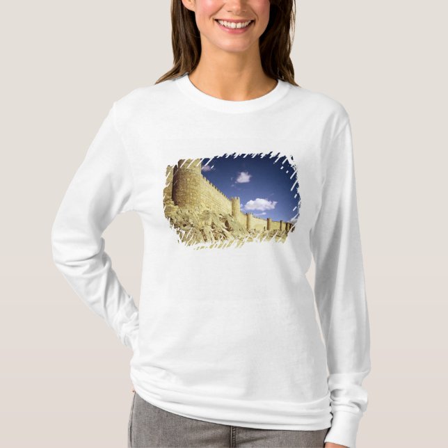 The city walls T-Shirt (Front)