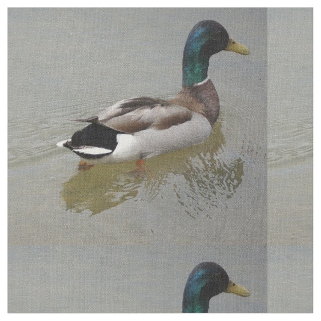THE CLASSIC MALLARD DUCK FABRIC (Close Up)