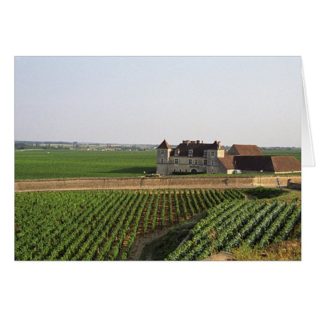 The Clos de Vougeot 16th century monastery and (Front Horizontal)