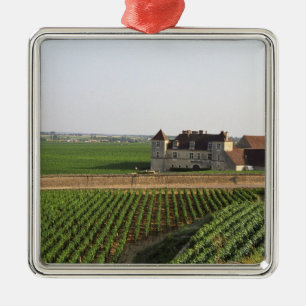 The Clos de Vougeot 16th century monastery and Metal Tree Decoration