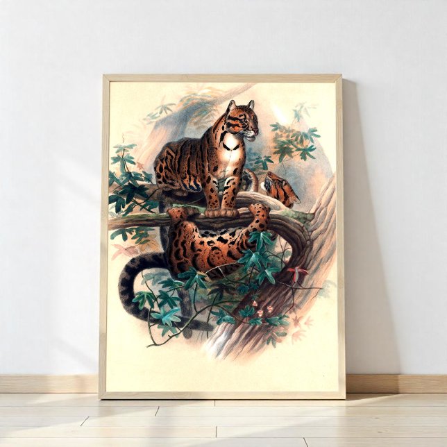 The Clouded Tiger Poster (Creator Uploaded)