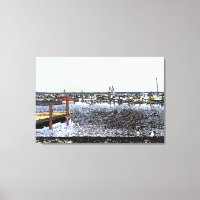 The Coast, Marseillan South of France