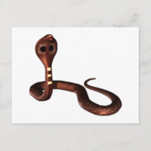 The Cobra, Deadly Snake Postcard