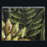 The Cod Calendar<br><div class="desc">A cod for every month of the year. Included are Cod Lily (cover & December), Tattoo Cod (January), Kaleido Cod (February), The Earth Day Cod (March), In Cod We Trust (April), Codrian (May), Cod Father (June), Cod Shark (July), V-Cod (August), Corn on the Cod (September), Skeleton Cod (October), Cape Cod...</div>