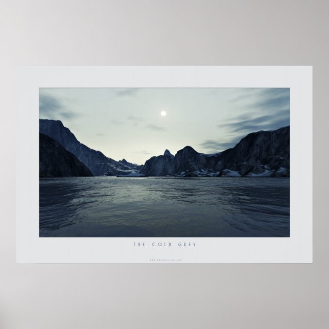 the cold grey poster (Front)