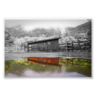 The Colour of Reflection Print