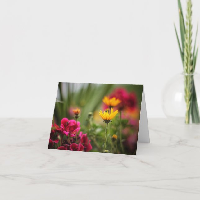 The Colour of Summer Note Cards (Front)