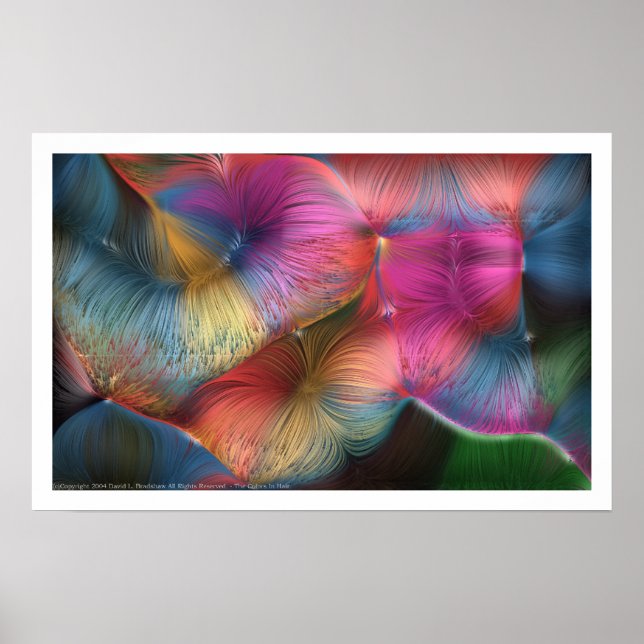 The Colours In Hair Poster (Front)