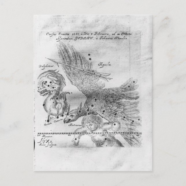 The Comet discovered and observed by Johannes Postcard (Front)