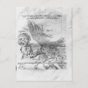 The Comet discovered and observed by Johannes Postcard