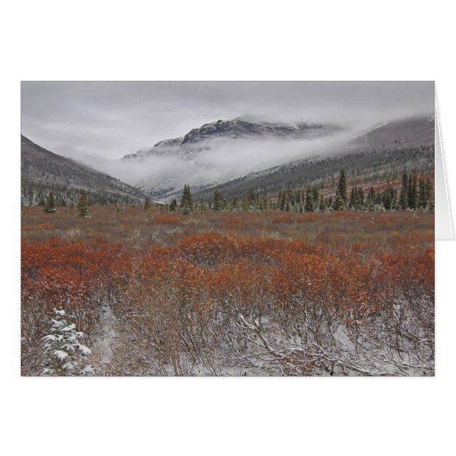 The Coming of Winter (Front Horizontal)