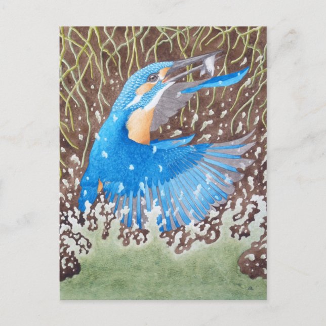 The Common Kingfisher Postcard (Front)