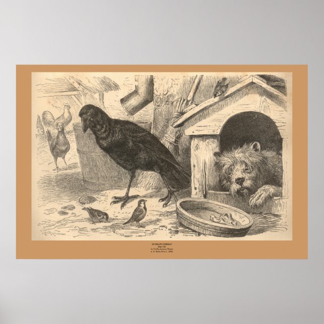The Common Raven Poster (Front)