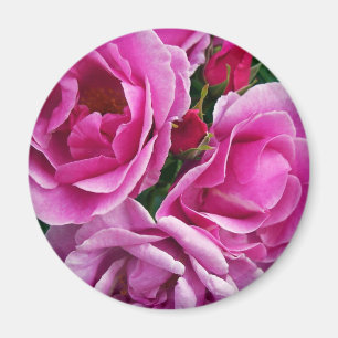 The Compassionate Friend Magnet