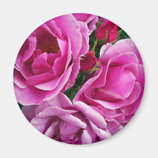 The Compassionate Friend Magnet (Front)