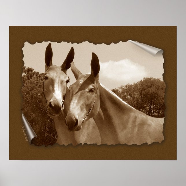 The Conversation Poster (Front)