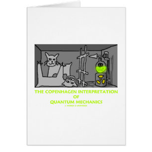 The Copenhagen Interpretation Of Quantum Mechanics
