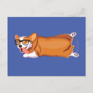 The Corgi Sploot Postcard