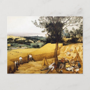 The Corn Harvest - 1565 Postcard