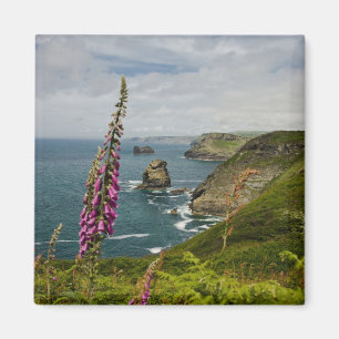 The Cornish Coast Magnet