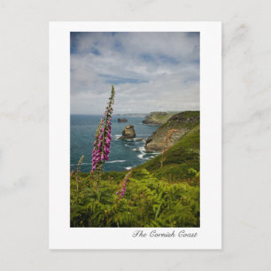 The Cornish Coast Postcard