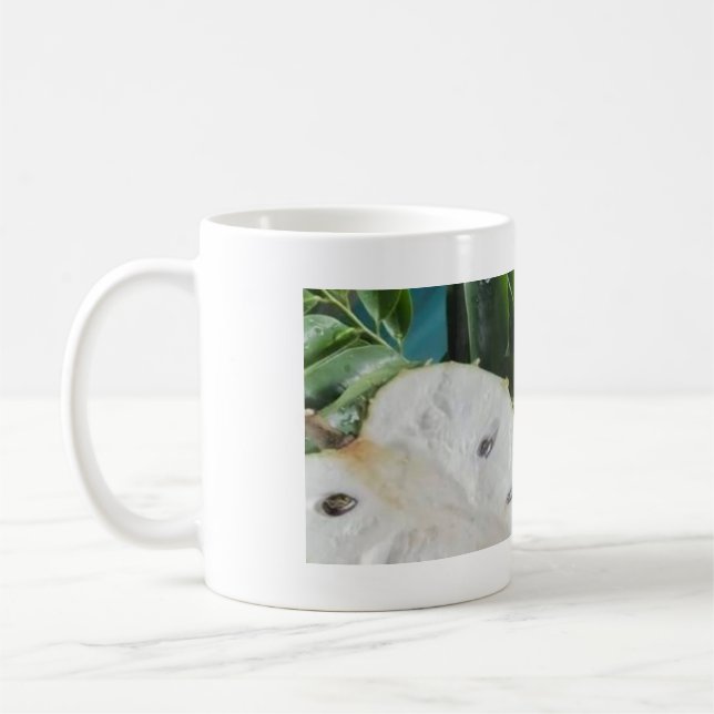 The corossol coffee mug (Left)