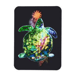 The Cosmic Colour Bringer Magnet