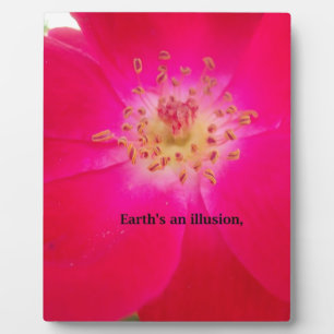 The Cosmic Rose: Nature's Deception Design Plaque