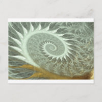 The Cosmic Spiral - Sacred Geometry Golden Spiral