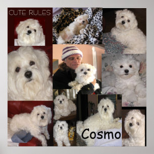 The Cosmo Poster by lin