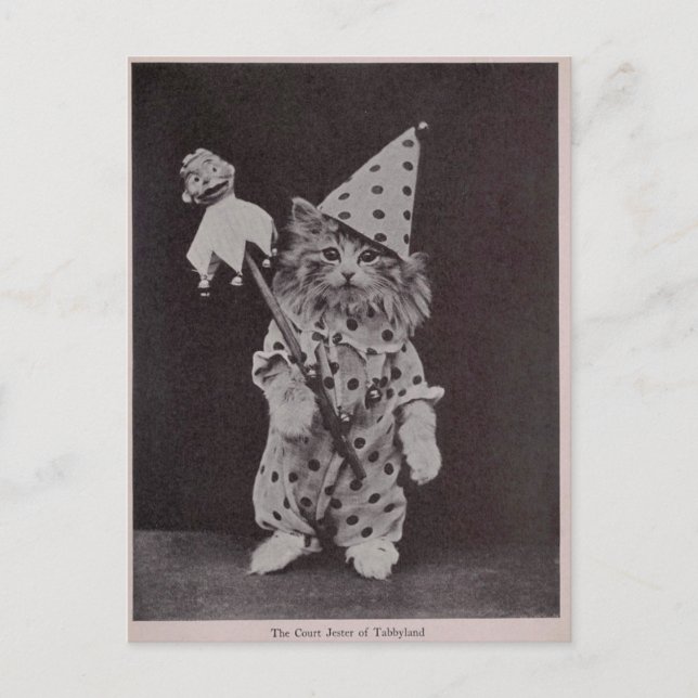 The Court Jester of Tabbyland Postcard (Front)