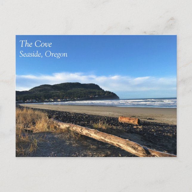 The Cove at Seaside, Oregon Postcard (Front)