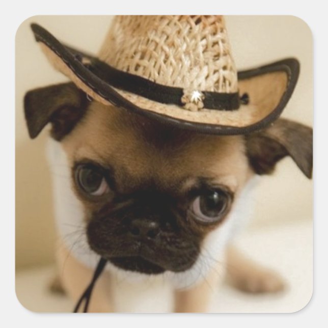 The Cowboy Pug Puppy Square Sticker (Front)