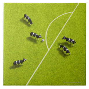 The cows playing soccer tile