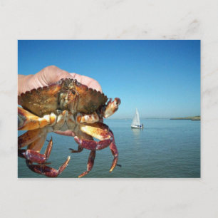 The crab and the sail boat, post card