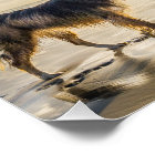 The Creation of Life and Dog Poem